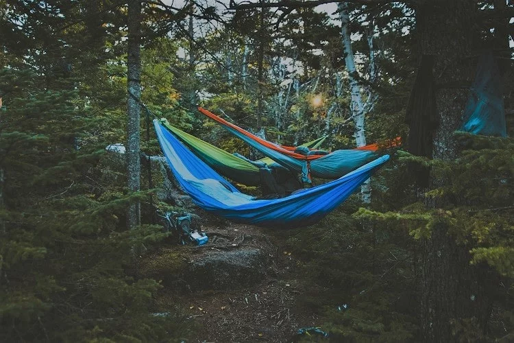 le camping avec un hamac ? bivouac randonnée trekking survie nature forêt moustiquaire trail hamac ou tente